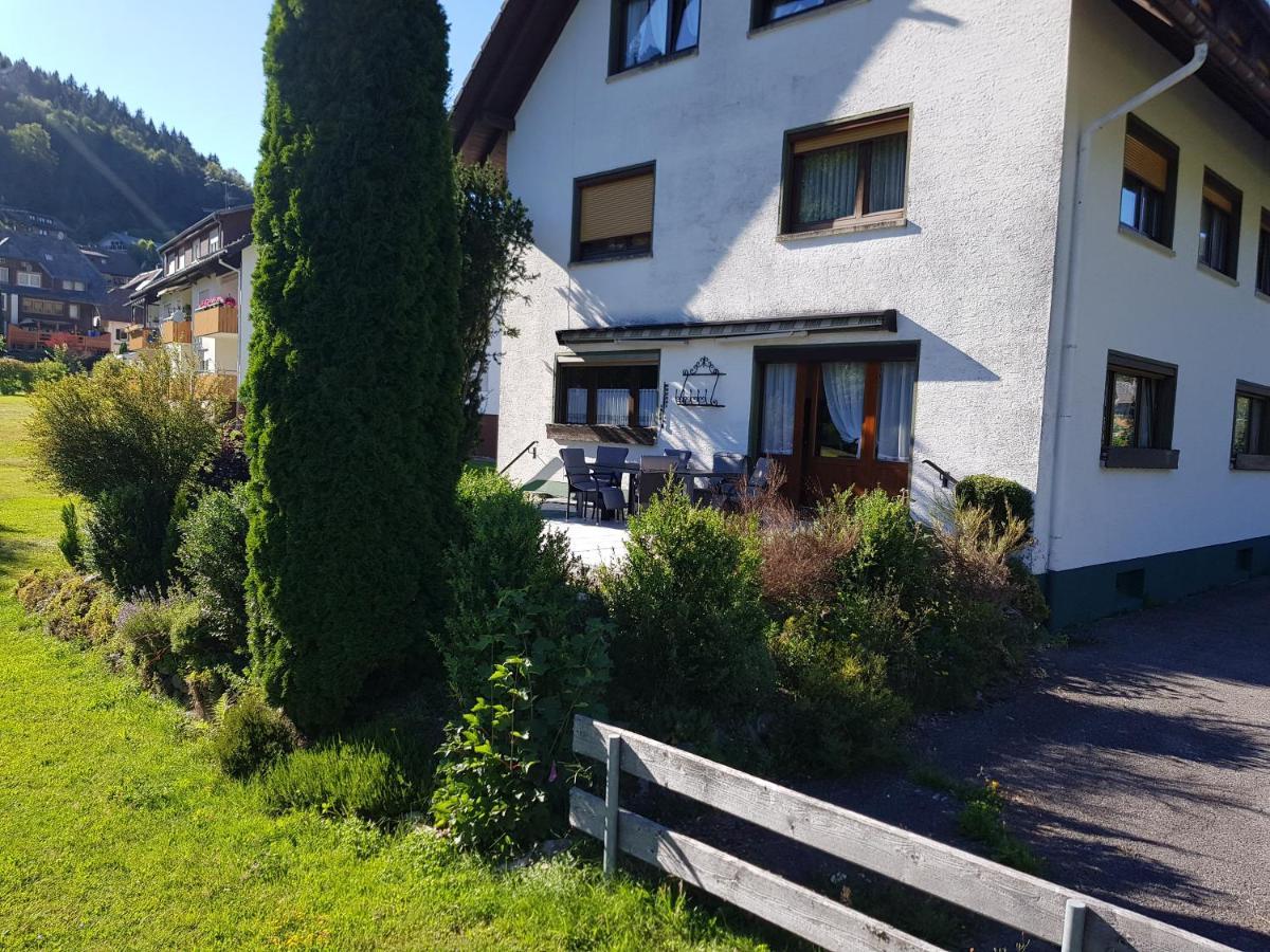 Am Wehrastrand App Eg Todtmoos Exteriör bild