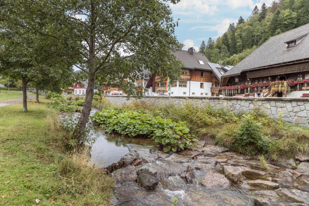 Am Wehrastrand App Eg Todtmoos Exteriör bild